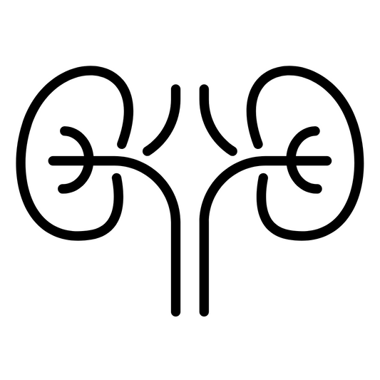 300+ Nephrology Notes