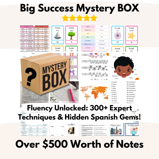 Big Mystery Box